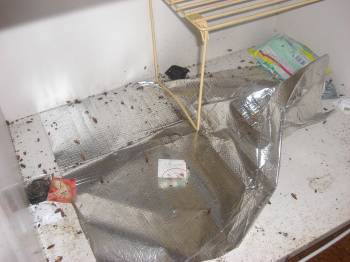 �S�L�u���쏜