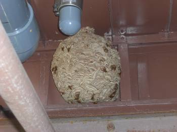 �X�Y���o�`