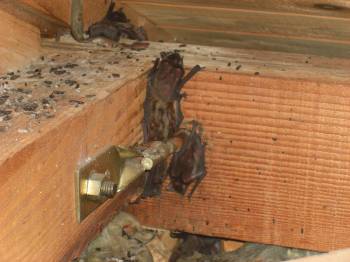 �R�E����