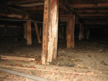 �V���A���̔�Q