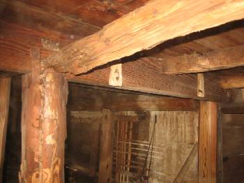 �V���A����Q�@����