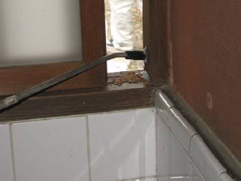 �V���A���@����